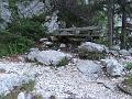 Slika_017