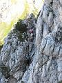 Slika_035