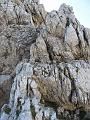 Slika_036