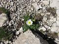 Slika_063