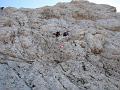 Slika_086