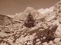 Slika_156
