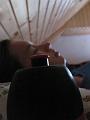Slika_175