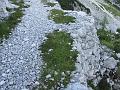 Slika_189