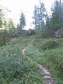 Slika_193