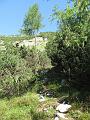 Slika_197