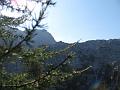 Slika_198