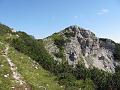 Slika_203