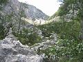 Slika_220