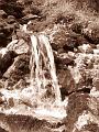 Slika_221