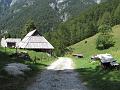 Slika_227