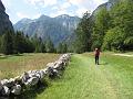 Slika_228