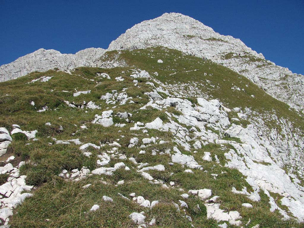 Slika_014.jpg - Ja, še malce pa je.