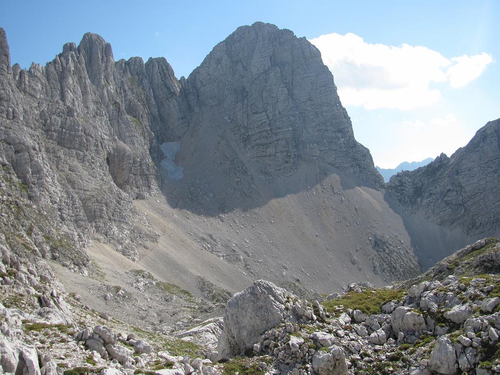 Slika_030.jpg - Pihavec slikan s poti do koče na Kriških podih.