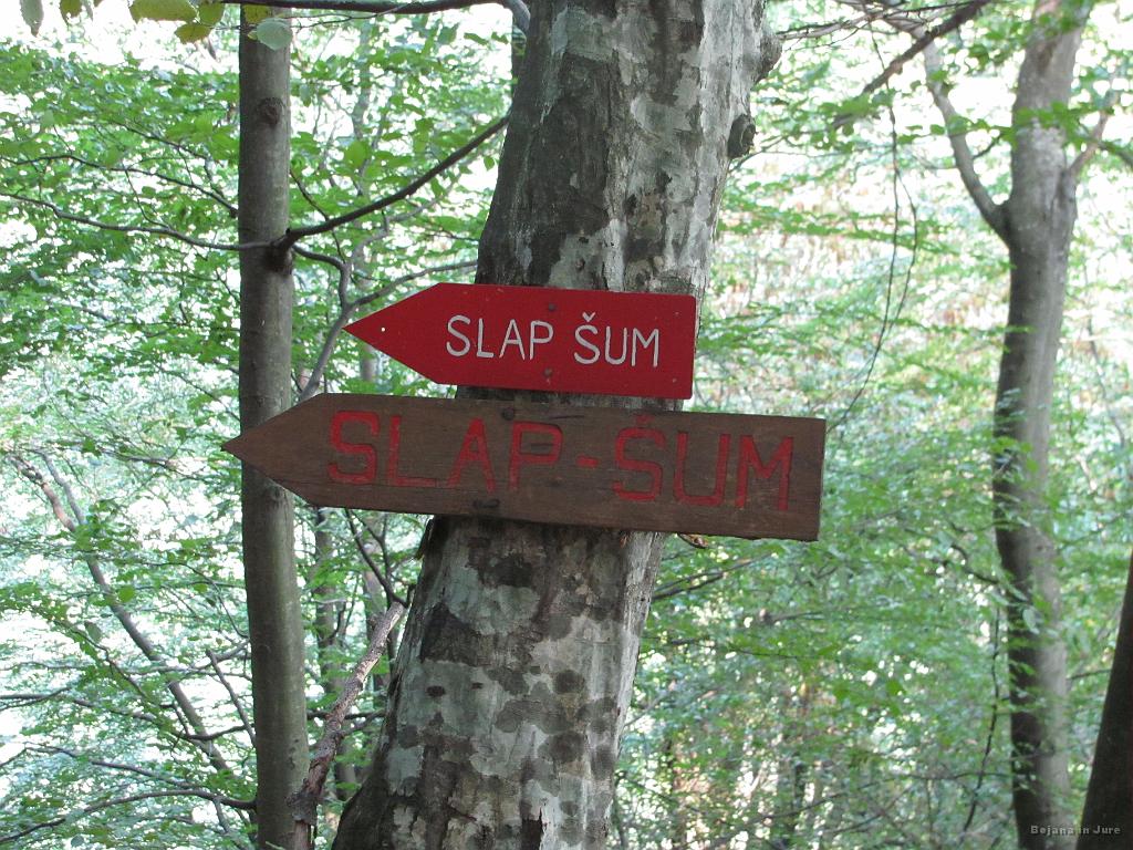 Slika_07.jpg - Tega sva si ogledala ob povratku.