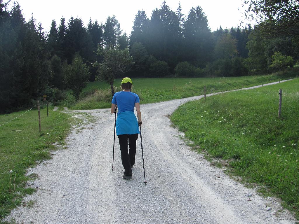 Slika_26.jpg - Tu sva se začela spraševati, če slučajno nisva prav. Ja, zgrešila sva odcep na desno, vendar naju je po poti naprej prepričal glasen možak, ki je sedel na klopci bližnje kmetije. Z markirano potjo sva se srečala takoj za domačijo.