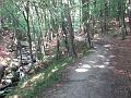 Slika_05