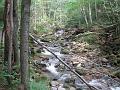Slika_06