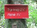 Slika_08