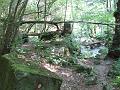 Slika_09