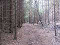 Slika_30