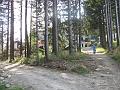 Slika_31