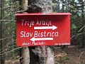 Slika_39