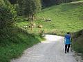 Slika_41