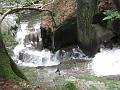 Slika_45