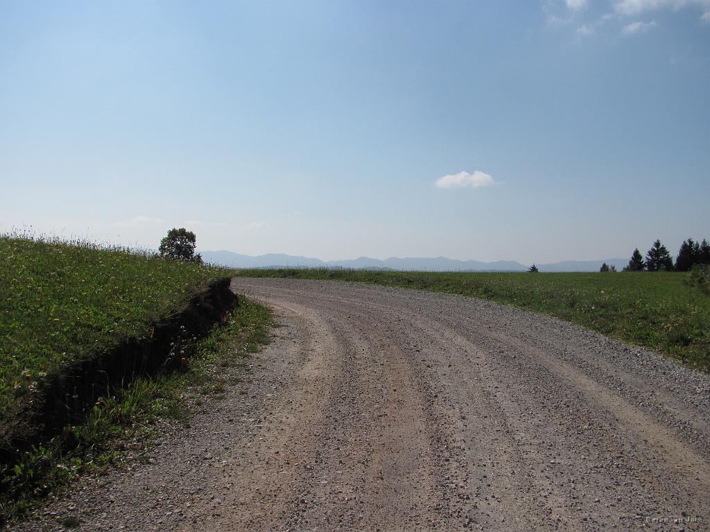 Slika_31.jpg - Čistina naju je zvabila na prosto, malo pod vzpetino nad Golim Vrhom. (Je prav Golni vrh?)