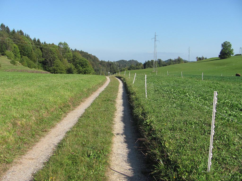 Slika_62.jpg - Neasfaltiran kolovoz nama je ravno prav pretresel kosti po vzponu.