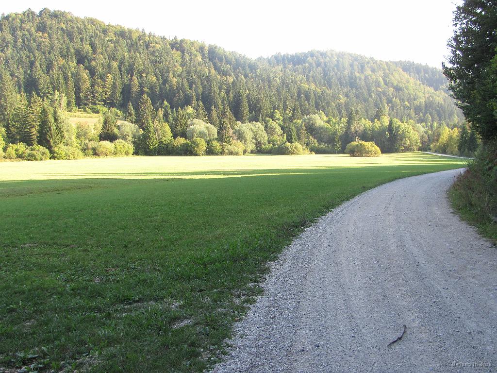 Slika_71.jpg - Kmalu prideva do jasice, kjer bi se dalo spuščati modelčke. Če ne bi tako radi odleteli v kako drevo. Žejski potok, ki teče po dolini, ustvarja močvirne predele, kar bi znalo biti zanimivo za biologe, za turiste pa sploh.