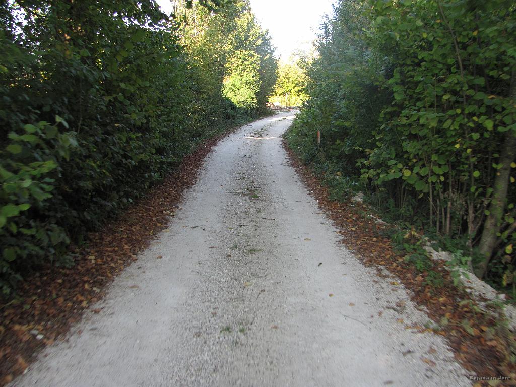 Slika_78.jpg - Če si ne bi preveč namučila stegen po tisti krasni cesti skozi Žejno dolino, me tile klančki presenečenja ne bi tako motili.