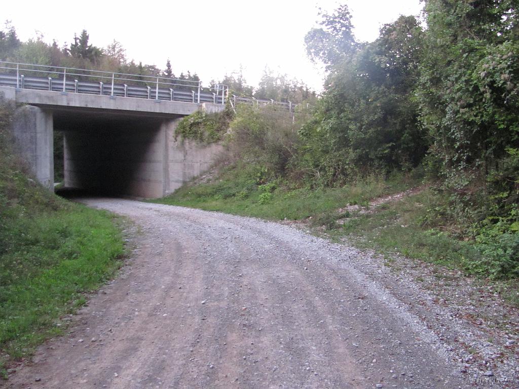 Slika_89.jpg - Začetni del te poti se sicer še malo dviga, vendar noge dobijo moč, ker veva, kje sva.