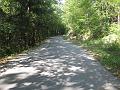 Slika_06