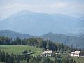 Slika_41