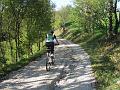 Slika_67