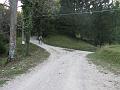 Slika_81