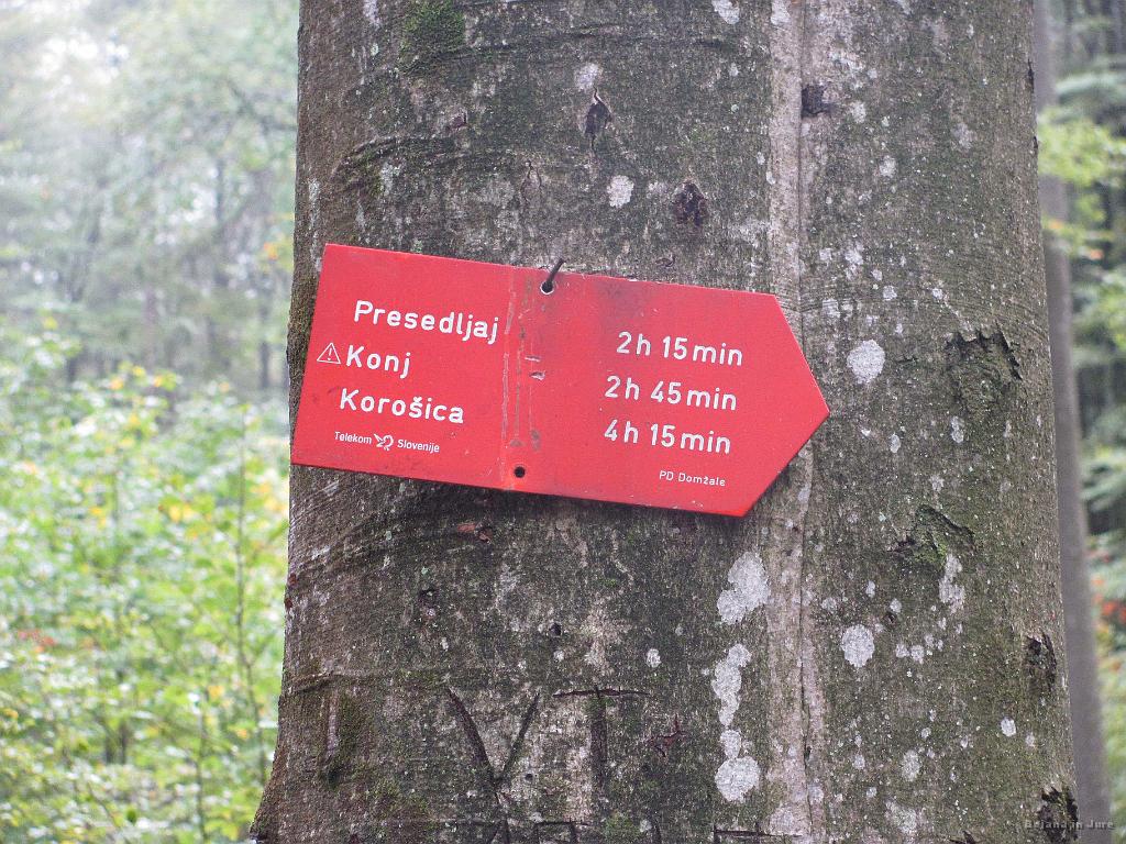 Slika_08.jpg - Prva uradna tabla, da smo prav, in to na križišču od koder lahko gremo tudi do partizanske bolnice. Seveda ni nič označeno.
