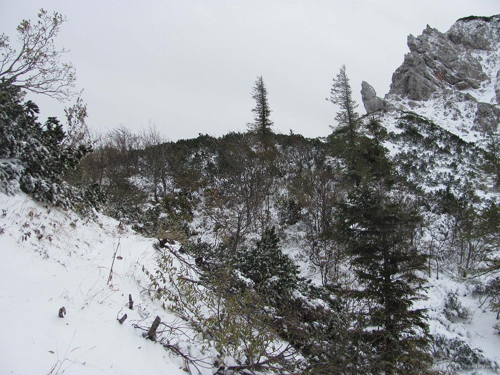 Slika_25.jpg - Do sedla Presedljaj (1613 m)  je še nekaj korakov.