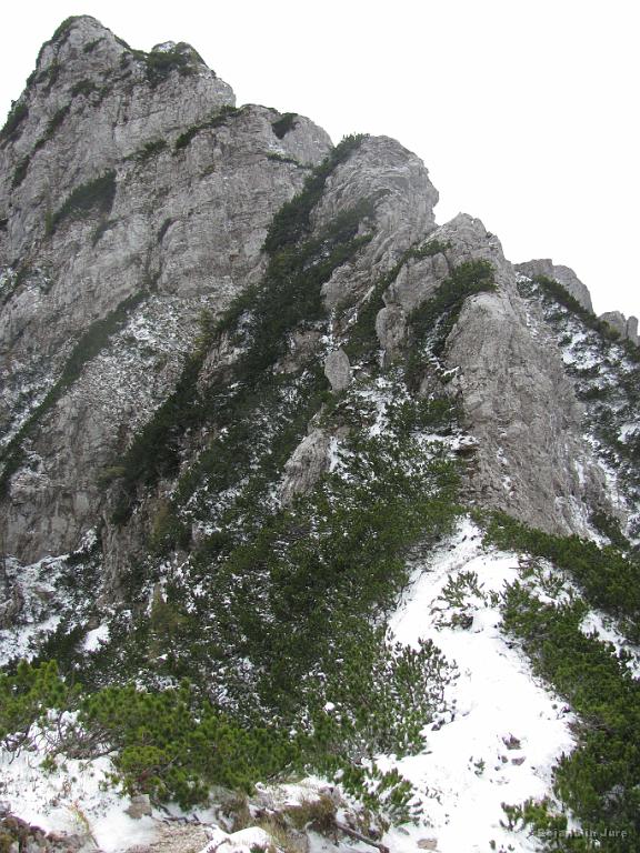 Slika_31.jpg - Deloma je pot tudi v snegu prav varna.