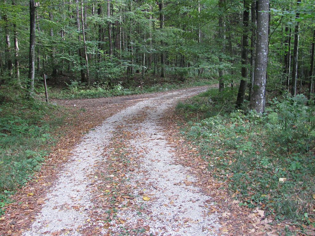 Slika_70.jpg - Pogled nazaj na križišče, kjer sva midva šla desno. Na tej sliki sva s pl. Dol prišla z leve, naravnost pa pridemo do spodnje postaje vzpenjače na Veliko Planino.
