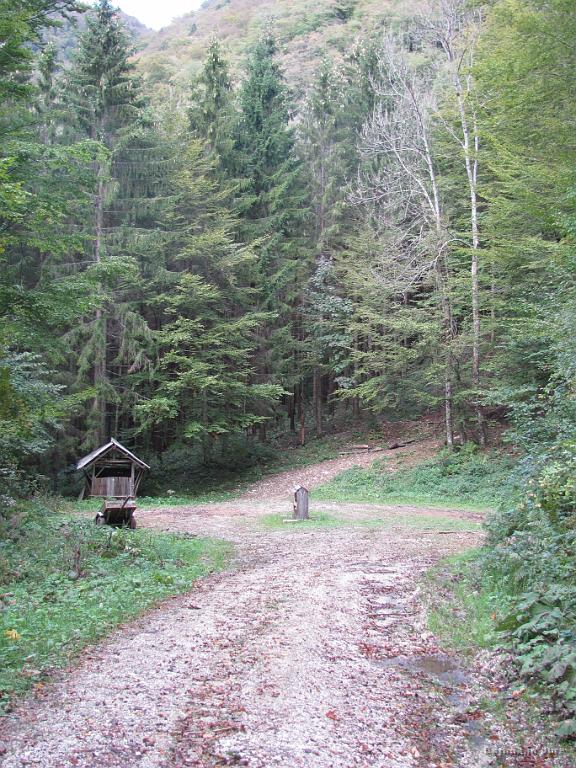 Slika_71.jpg - Ceste je kaj kmalu konec, vendar saj je na zemljevidu ja naprej markirana pot.