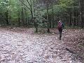 Slika_03