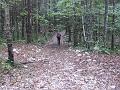 Slika_04