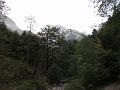 Slika_06