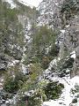 Slika_15