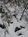 Slika_17