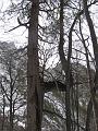 Slika_19