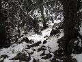 Slika_55
